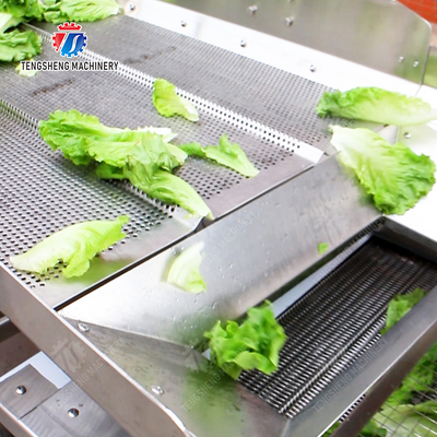 State-of-the-Art Fruit And Vegetable Processing Machine for 2025 Final Product