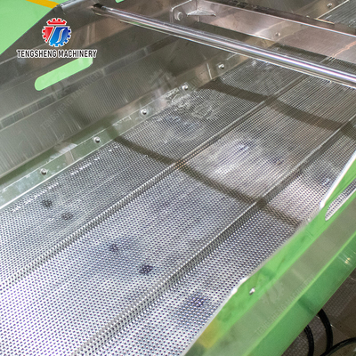 State-of-the-Art Fruit And Vegetable Processing Machine for 2025 Final Product