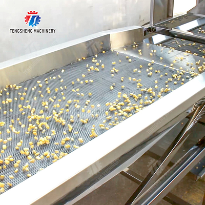 X Final Product Fruit And Vegetable Processing Line With Design For 2025