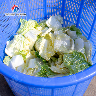 Salad Fruits and vegetables dehydrator Lettuce Cao Xin Baby Cabbage Chinese Cabbage Cabbage Automaticial Dehydration Machine Dehydrator Dried  Centrifugal Drying Machine Automatic Water Spinner