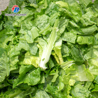 Salad Fruits and vegetables dehydrator Lettuce Cao Xin Baby Cabbage Chinese Cabbage Cabbage Automaticial Dehydration Machine Dehydrator Dried  Centrifugal Drying Machine Automatic Water Spinner