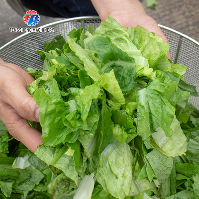 Salad Fruits and vegetables dehydrator Lettuce Cao Xin Baby Cabbage Chinese Cabbage Cabbage Automaticial Dehydration Machine Dehydrator Dried  Centrifugal Drying Machine Automatic Water Spinner