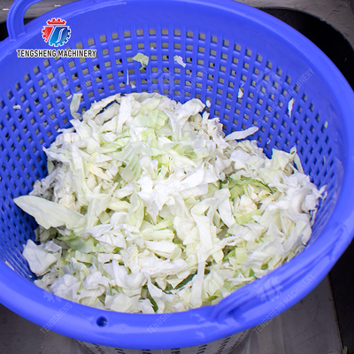 Leafy vegetables Cabbage varieties Greens Lettuce Cao Xin Baby Cabbage Chinese Cabbage Cabbage kale Salad Fruits and vegetables dehydrator Industrial Commercial  Food Dehydrator Dewatering Machine