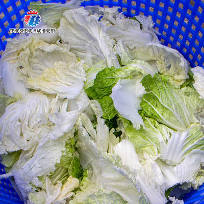 Leafy vegetables Cabbage varieties Greens Lettuce Cao Xin Baby Cabbage Chinese Cabbage Cabbage kale Salad Fruits and vegetables dehydrator Industrial Commercial  Food Dehydrator Dewatering Machine