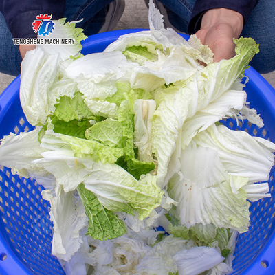 Salad Fruit and Vegetable Dehydrator Industrial Commercial  Food Dehydrator Dewatering Machine Lettuce Cao Xin Baby Cabbage Chinese Cabbage Cabbage Onions Fruiting vegetables onion