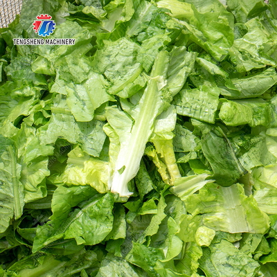 Salad Fruit and Vegetable Dehydrator Industrial Commercial  Food Dehydrator Dewatering Machine Lettuce Cao Xin Baby Cabbage Chinese Cabbage Cabbage Onions Fruiting vegetables onion