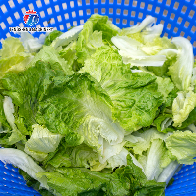Salad Fruit and Vegetable Dehydrator Industrial Commercial  Food Dehydrator Dewatering Machine Lettuce Cao Xin Baby Cabbage Chinese Cabbage Cabbage Onions Fruiting vegetables onion