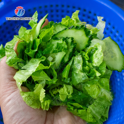 Salad Fruit and Vegetable Dehydrator Industrial Commercial  Food Dehydrator Dewatering Machine Lettuce Cao Xin Baby Cabbage Chinese Cabbage Cabbage Onions Fruiting vegetables onion