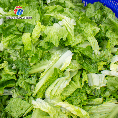 Industrial Commercial Large fruit and vegetable dehydrator Salad Centrifugal Drying Machine Spin Dryer Stainless Steel Cabbage varieties Fruiting vegetables Lettuce Cao Xin Baby Cabbage Chinese