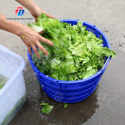 Industrial Commercial Large fruit and vegetable dehydrator Salad Centrifugal Drying Machine Spin Dryer Stainless Steel Cabbage varieties Fruiting vegetables Lettuce Cao Xin Baby Cabbage Chinese