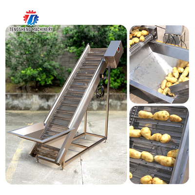 Potatoes Hoisting machine Fruit Saiko persimmon macadamia nut Apple Carrot radish Taro Sweet potato Yam cucumber towel gourd balsam pear winter melon chili okra Baby Cabbage Chinese Cabbage Cabbage