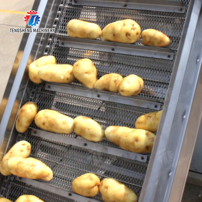 Potatoes Hoisting machine Fruit Saiko persimmon macadamia nut Apple Carrot radish Taro Sweet potato Yam cucumber towel gourd balsam pear winter melon chili okra Baby Cabbage Chinese Cabbage Cabbage