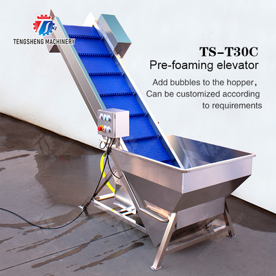 Pre-foaming elevator processing production Destoning Supplying Inspecting Grading Fruit Orange Vegetable Onions horseshoe Ginger Potato Carrot radish Lettuce Baby Cabbage Chinese Cabbage Cabbage