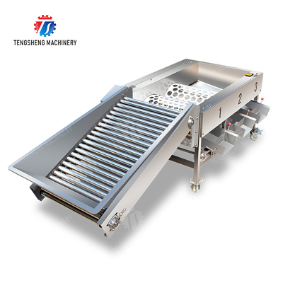 Apple Passion Fruit and vegetable sorting machine tangerine passion fruit avocado cherry Mango pear banana mangosteen kiwi fruit Fruit Orange Vegetable Lettuce Cabbage Celery kale Grading