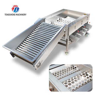 Apple Passion Fruit and vegetable sorting machine tangerine passion fruit avocado cherry Mango pear banana mangosteen kiwi fruit Fruit Orange Vegetable Lettuce Cabbage Celery kale Grading