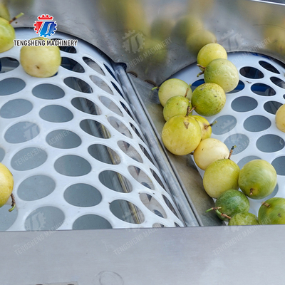 Apple Passion Fruit and vegetable sorting machine tangerine passion fruit avocado cherry Mango pear banana mangosteen kiwi fruit Fruit Orange Vegetable Lettuce Cabbage Celery kale Grading