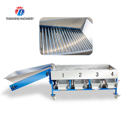Tangerine passion fruit avocado cherry Mango pear banana mangosteen kiwi fruit Inspecting Grading Transporting processing production Fruit and vegetable sorting machine