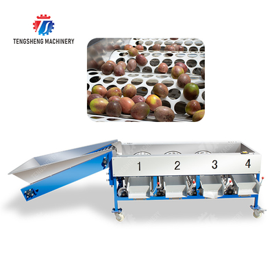 Tangerine passion fruit avocado cherry Mango pear banana mangosteen kiwi fruit Inspecting Grading Transporting processing production Fruit and vegetable sorting machine