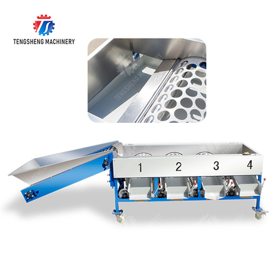 Tangerine passion fruit avocado cherry Mango pear banana mangosteen kiwi fruit Inspecting Grading Transporting processing production Fruit and vegetable sorting machine