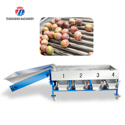 Tangerine passion fruit avocado cherry Mango pear banana mangosteen kiwi fruit Inspecting Grading Transporting processing production Fruit and vegetable sorting machine