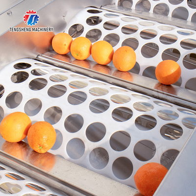 Tangerine passion fruit avocado cherry Mango pear banana mangosteen kiwi fruit Inspecting Grading Transporting processing production Fruit and vegetable sorting machine