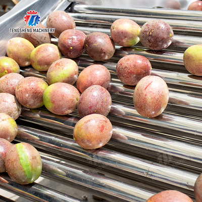 Tangerine passion fruit avocado cherry Mango pear banana mangosteen kiwi fruit Inspecting Grading Transporting processing production Fruit and vegetable sorting machine