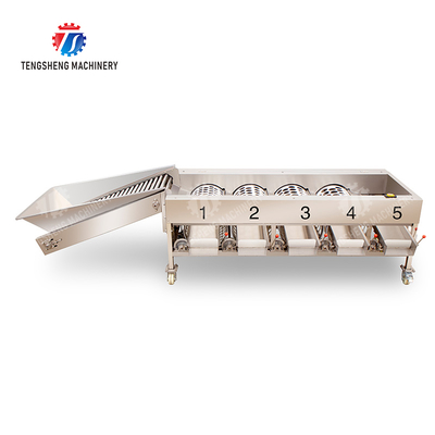 Fruit Orange Vegetable Saiko persimmon lemon tangerine passion fruit avocado cherry Mango pear mangosteen kiwi fruit processing production Inspecting Grading sorting machine