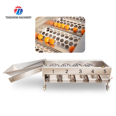 Fruit Orange Vegetable Saiko persimmon lemon tangerine passion fruit avocado cherry Mango pear mangosteen kiwi fruit processing production Inspecting Grading sorting machine
