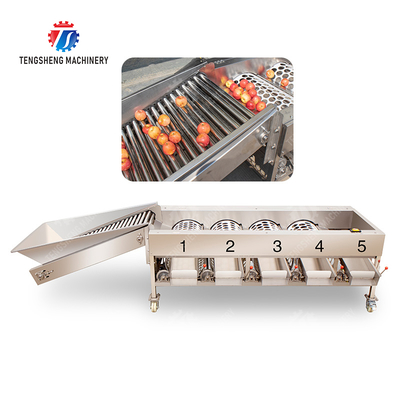 Fruit Orange Vegetable Saiko persimmon lemon tangerine passion fruit avocado cherry Mango pear mangosteen kiwi fruit processing production Inspecting Grading sorting machine