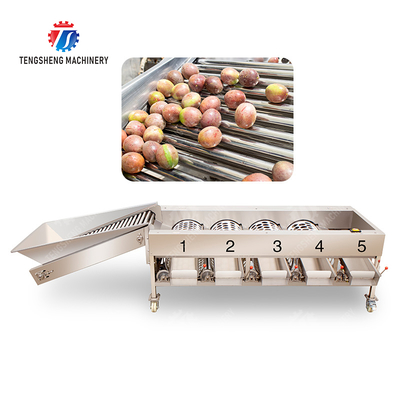 Fruit Orange Vegetable Saiko persimmon lemon tangerine passion fruit avocado cherry Mango pear mangosteen kiwi fruit processing production Inspecting Grading sorting machine