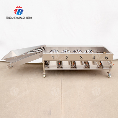 Fruit Orange Vegetable Saiko persimmon lemon tangerine passion fruit avocado cherry Mango pear mangosteen kiwi fruit processing production Inspecting Grading sorting machine