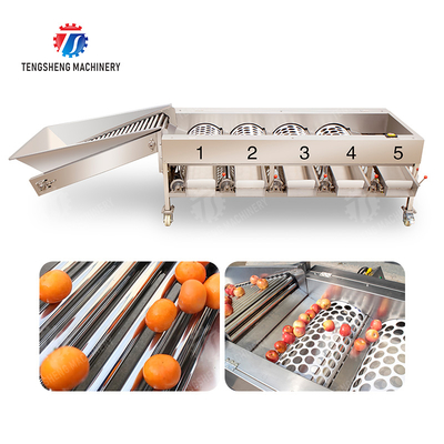 Fruit Orange Vegetable Saiko persimmon lemon tangerine passion fruit avocado cherry Mango pear mangosteen kiwi fruit processing production Inspecting Grading sorting machine