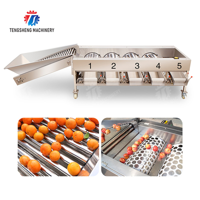 Fruit Orange Vegetable Saiko persimmon lemon tangerine passion fruit avocado cherry Mango pear mangosteen kiwi fruit processing production Inspecting Grading sorting machine
