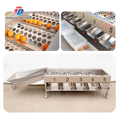 Fruit Orange Vegetable Saiko persimmon lemon tangerine passion fruit avocado cherry Mango pear mangosteen kiwi fruit processing production Inspecting Grading sorting machine