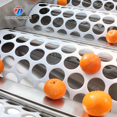 Fruit Orange Vegetable Saiko persimmon lemon tangerine passion fruit avocado cherry Mango pear mangosteen kiwi fruit processing production Inspecting Grading sorting machine