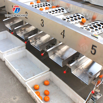 Fruit Orange Vegetable Saiko persimmon lemon tangerine passion fruit avocado cherry Mango pear mangosteen kiwi fruit processing production Inspecting Grading sorting machine