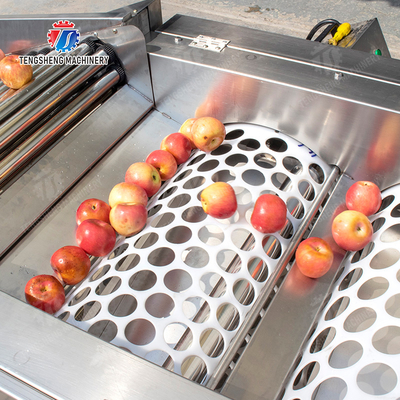 Fruit Orange Vegetable Saiko persimmon lemon tangerine passion fruit avocado cherry Mango pear mangosteen kiwi fruit processing production Inspecting Grading sorting machine