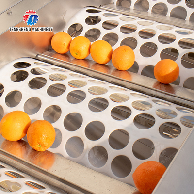 Fruit Orange Vegetable Saiko persimmon lemon tangerine passion fruit avocado cherry Mango pear mangosteen kiwi fruit processing production Inspecting Grading sorting machine