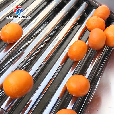 Fruit Orange Vegetable Saiko persimmon lemon tangerine passion fruit avocado cherry Mango pear mangosteen kiwi fruit processing production Inspecting Grading sorting machine