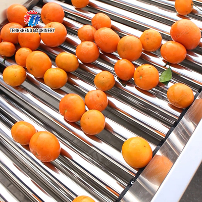 Fruit Orange Vegetable Saiko persimmon lemon tangerine passion fruit avocado cherry Mango pear mangosteen kiwi fruit processing production Inspecting Grading sorting machine