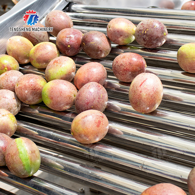Fruit Orange Vegetable Saiko persimmon lemon tangerine passion fruit avocado cherry Mango pear mangosteen kiwi fruit processing production Inspecting Grading sorting machine