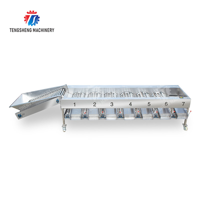 Processing Production Inspecting Grading Fruit Vegetable Onions Saiko persimmon Apple Potato tangerine passion fruit avocado cherry Mango pear banana mangosteen kiwi fruit Fruit Sorting Machine