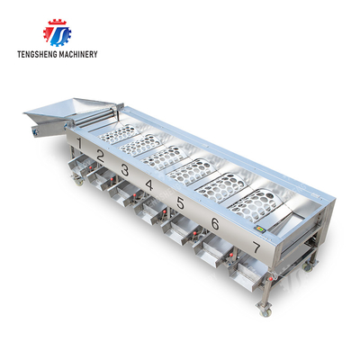 Processing Production Inspecting Grading Fruit Vegetable Onions Saiko persimmon Apple Potato tangerine passion fruit avocado cherry Mango pear banana mangosteen kiwi fruit Fruit Sorting Machine