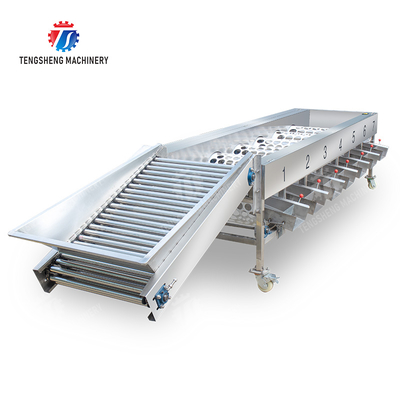 Processing Production Inspecting Grading Fruit Vegetable Onions Saiko persimmon Apple Potato tangerine passion fruit avocado cherry Mango pear banana mangosteen kiwi fruit Fruit Sorting Machine