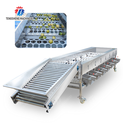 Processing Production Inspecting Grading Fruit Vegetable Onions Saiko persimmon Apple Potato tangerine passion fruit avocado cherry Mango pear banana mangosteen kiwi fruit Fruit Sorting Machine
