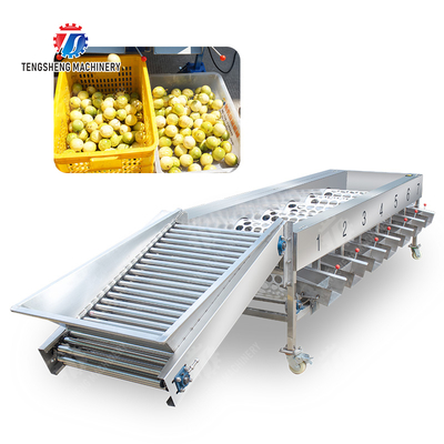 Processing Production Inspecting Grading Fruit Vegetable Onions Saiko persimmon Apple Potato tangerine passion fruit avocado cherry Mango pear banana mangosteen kiwi fruit Fruit Sorting Machine