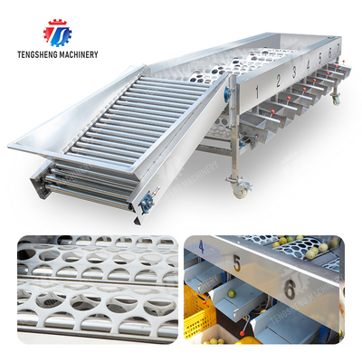 Processing Production Inspecting Grading Fruit Vegetable Onions Saiko persimmon Apple Potato tangerine passion fruit avocado cherry Mango pear banana mangosteen kiwi fruit Fruit Sorting Machine
