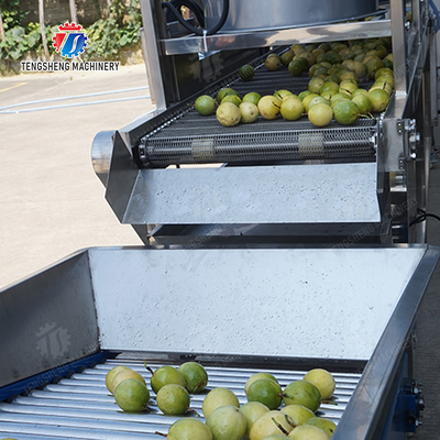 Processing Production Inspecting Grading Fruit Vegetable Onions Saiko persimmon Apple Potato tangerine passion fruit avocado cherry Mango pear banana mangosteen kiwi fruit Fruit Sorting Machine