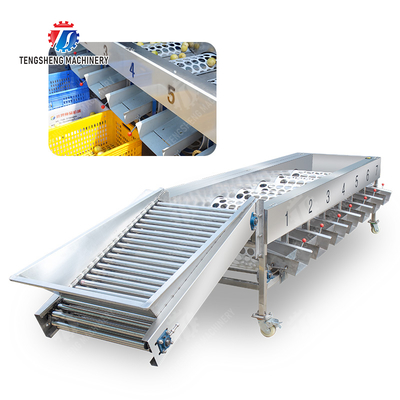 Processing Production Inspecting Grading Fruit Vegetable Onions Saiko persimmon Apple Potato tangerine passion fruit avocado cherry Mango pear banana mangosteen kiwi fruit Fruit Sorting Machine