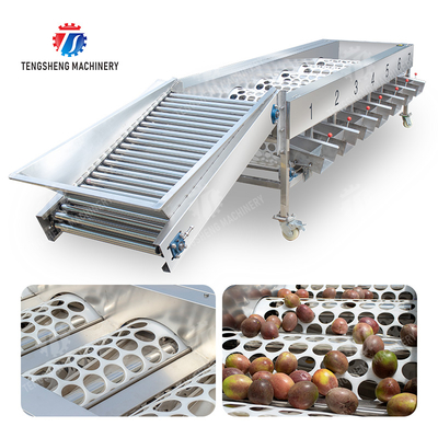 Processing Production Inspecting Grading Fruit Vegetable Onions Saiko persimmon Apple Potato tangerine passion fruit avocado cherry Mango pear banana mangosteen kiwi fruit Fruit Sorting Machine